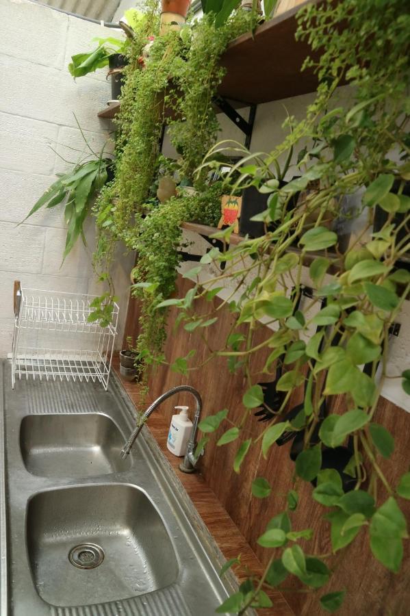Semeru Hostel Malang (Adults Only) المظهر الخارجي الصورة